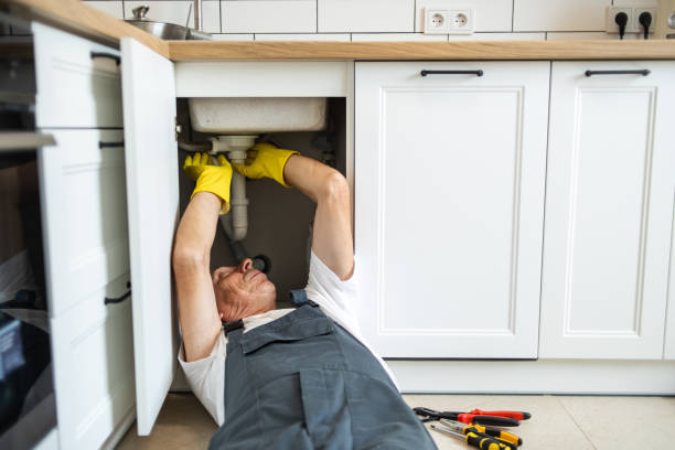 Best Plumbing Inspections & Maintenance in Bloomingdale, IL